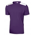 Tricou fotbal Minsk, Violet