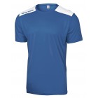 Tricou fotbal Minsk, Royal