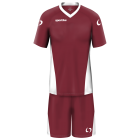 Echipament fotbal Basilea, Grena Alb
